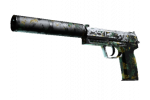 StatTrak™ USP-S - Камуфляж (BS)