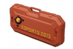 Кейс eSports 2013