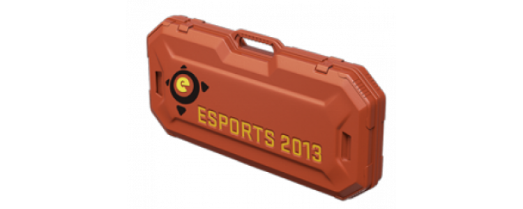 Кейс eSports 2013