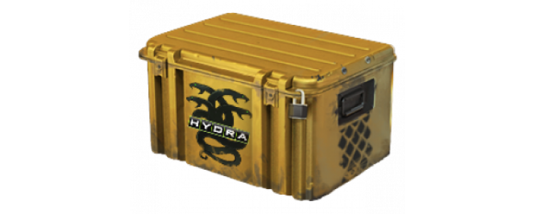 Operation Hydra Case