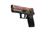 P250 - Роспись (FN)