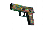 P250 - Visions (FN)