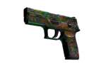 StatTrak™ P250 - Visions (BS)