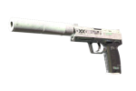StatTrak USP-S | Поток информации (BS)