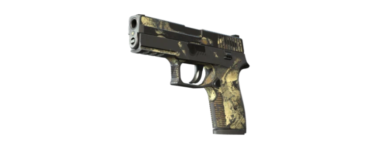 P250 | Заражение (BS)