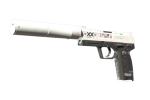 StatTrak USP-S | Поток информации (WW)