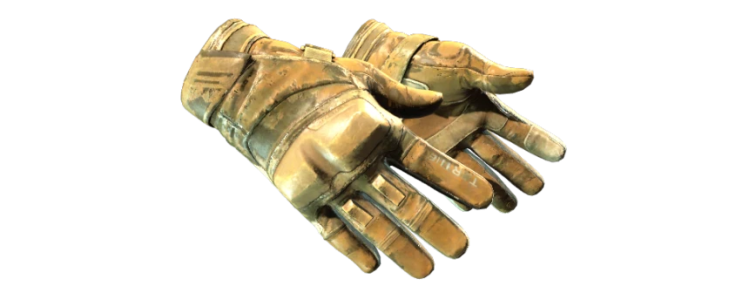 Мотоциклетные перчатки | Транспорт (BS)