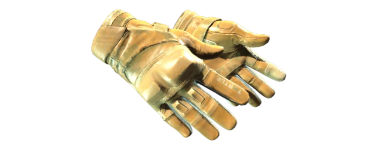 Мотоциклетные перчатки | Транспорт (FT)