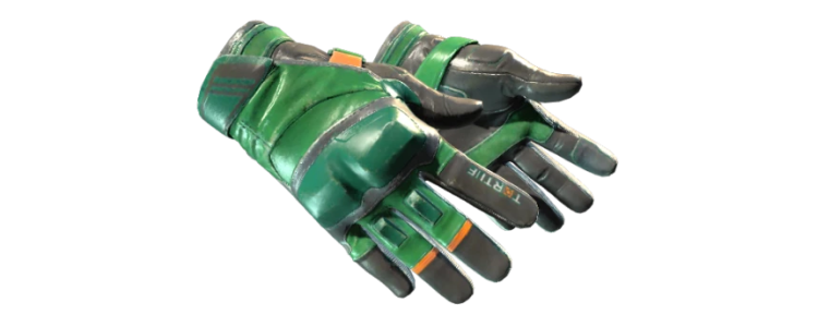 Мотоциклетные перчатки | Черепаха (WW)