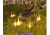 Guild Wars The 20th Anniversary Masterpiece Collection