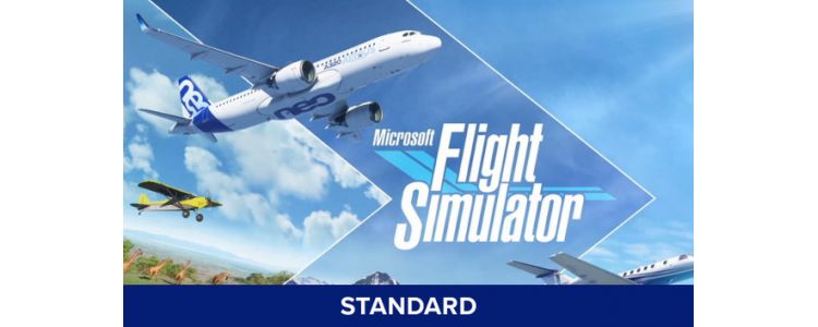 Microsoft Flight Simulator 