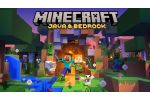 Minecraft Java - Bedrock Edition