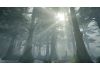 Myst 