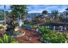 The Sims 4 Кошки и собаки 
