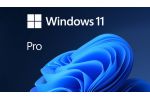 Windows 11 Pro