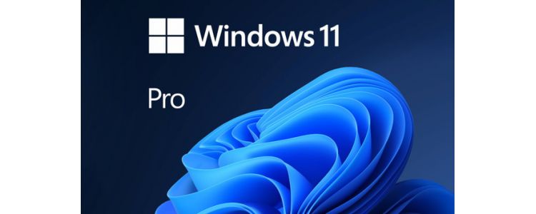 Windows 11 Pro