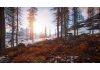 Rust Xbox One