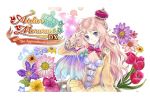 Atelier Meruru ~The Apprentice of Arland~ DX