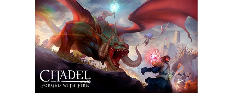 Citadel: Forged with Fire