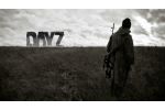 DayZ