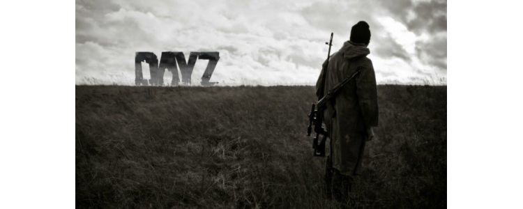 DayZ