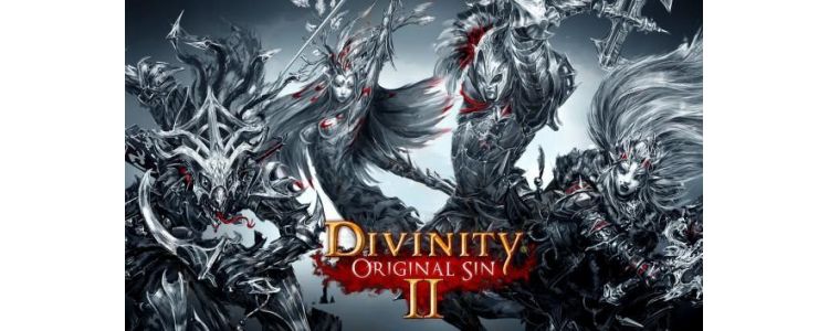 Divinity: Original Sin 2