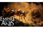 Empire of the Ants