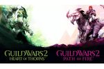 Expansion Starter Pack Guild Wars 2 Heart of Thorns and Path of Fire
