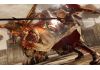 Lightning Returns Final Fantasy XIII