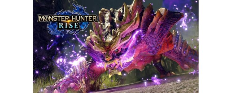 MONSTER HUNTER RISE