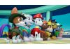 PAW Patrol: On A Roll!