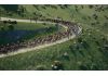 Pro Cycling Manager 25