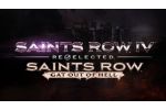 Saints Row IV: Re-Elected