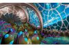 Spacebase Startopia