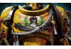 Warhammer 40,000 Space Marine 2 2-Year Anniversary Edition