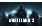 Wasteland 3